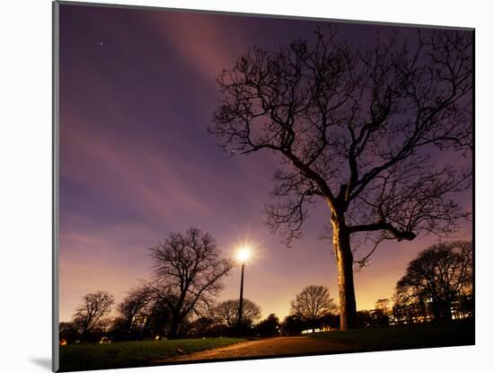 Nightime in Hyde Park, London-Alex Saberi-Mounted Photographic Print