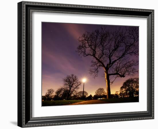 Nightime in Hyde Park, London-Alex Saberi-Framed Photographic Print