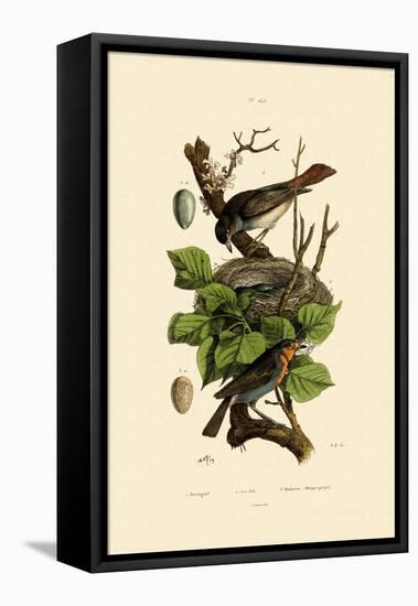 Nightingale, 1833-39-null-Framed Premier Image Canvas