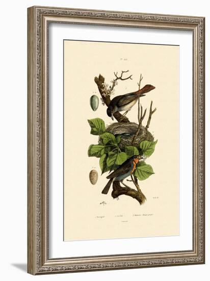 Nightingale, 1833-39-null-Framed Giclee Print