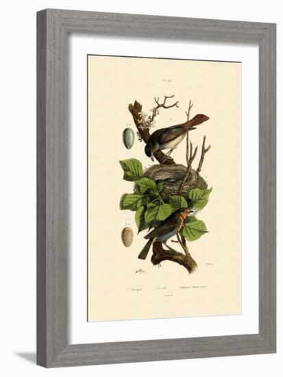 Nightingale, 1833-39-null-Framed Giclee Print