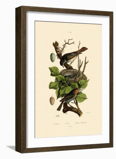 Nightingale, 1833-39-null-Framed Giclee Print