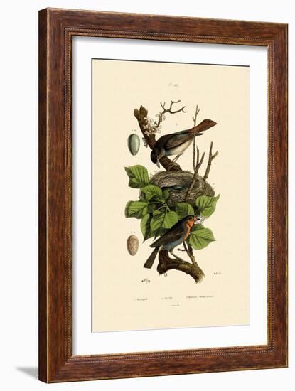 Nightingale, 1833-39-null-Framed Giclee Print
