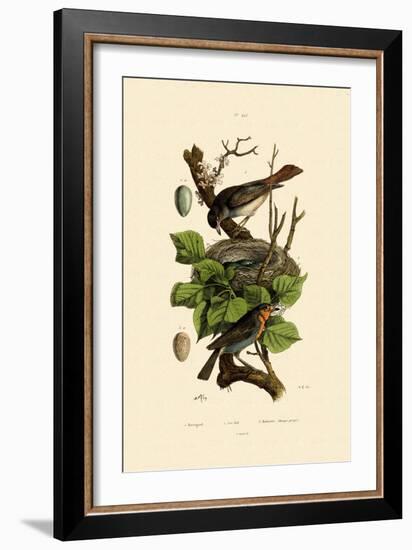 Nightingale, 1833-39-null-Framed Giclee Print