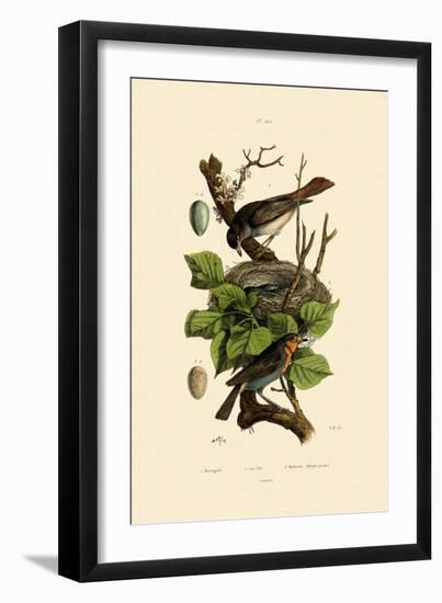 Nightingale, 1833-39-null-Framed Giclee Print