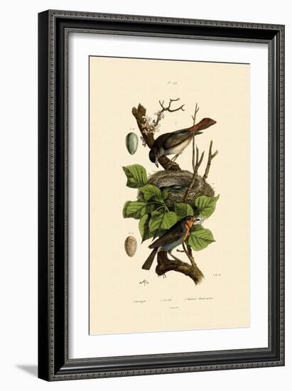 Nightingale, 1833-39-null-Framed Giclee Print