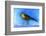 Nightingale Light, 2012-Nancy Moniz-Framed Photographic Print