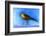 Nightingale Light, 2012-Nancy Moniz-Framed Photographic Print