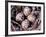 Nightjar Nest and Eggs, Thaku River, British Columbia, Canada-Gavriel Jecan-Framed Photographic Print