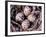 Nightjar Nest and Eggs, Thaku River, British Columbia, Canada-Gavriel Jecan-Framed Photographic Print