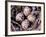 Nightjar Nest and Eggs, Thaku River, British Columbia, Canada-Gavriel Jecan-Framed Photographic Print