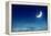 Nightly Sky with Moon and Stars-egal-Framed Premier Image Canvas