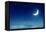 Nightly Sky with Moon and Stars-egal-Framed Premier Image Canvas