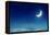 Nightly Sky with Moon and Stars-egal-Framed Premier Image Canvas