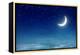 Nightly Sky with Moon and Stars-egal-Framed Premier Image Canvas