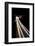 Nights Neon Lines 3-null-Framed Photographic Print
