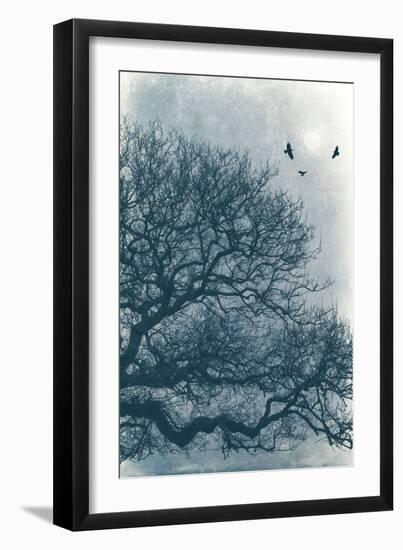 Nights Roost-David Baker-Framed Photographic Print