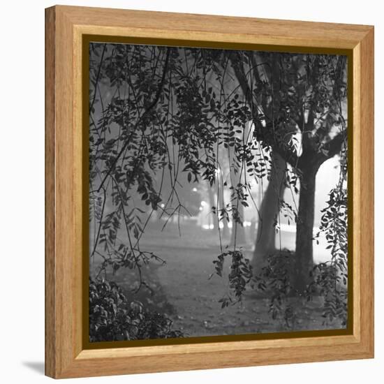 Nightshoot of Park with Trees, London, c.1940-John Gay-Framed Premier Image Canvas