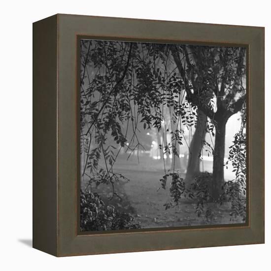 Nightshoot of Park with Trees, London, c.1940-John Gay-Framed Premier Image Canvas