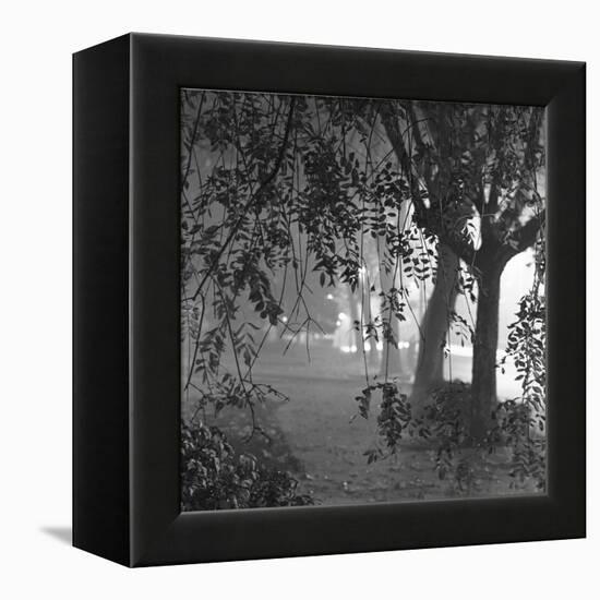 Nightshoot of Park with Trees, London, c.1940-John Gay-Framed Premier Image Canvas