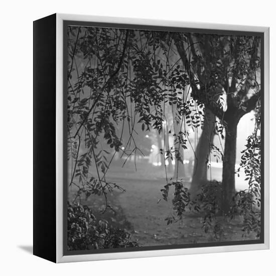 Nightshoot of Park with Trees, London, c.1940-John Gay-Framed Premier Image Canvas