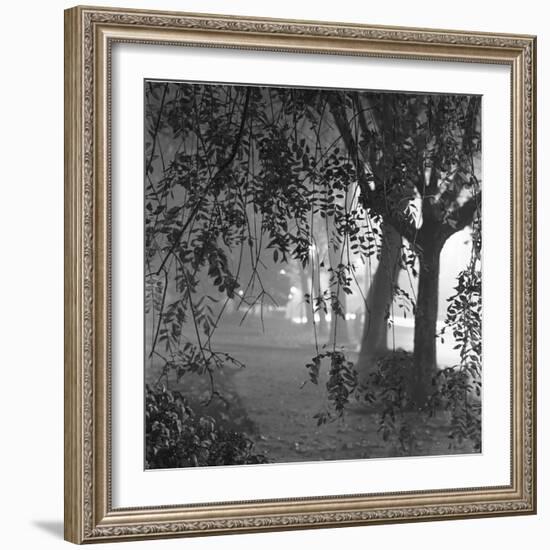 Nightshoot of Park with Trees, London, c.1940-John Gay-Framed Giclee Print