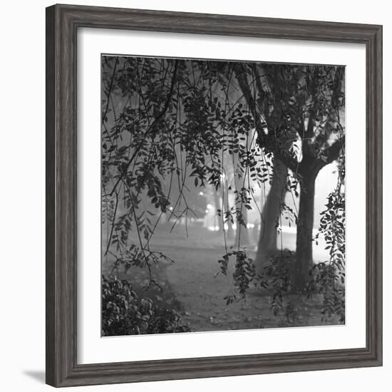 Nightshoot of Park with Trees, London, c.1940-John Gay-Framed Giclee Print