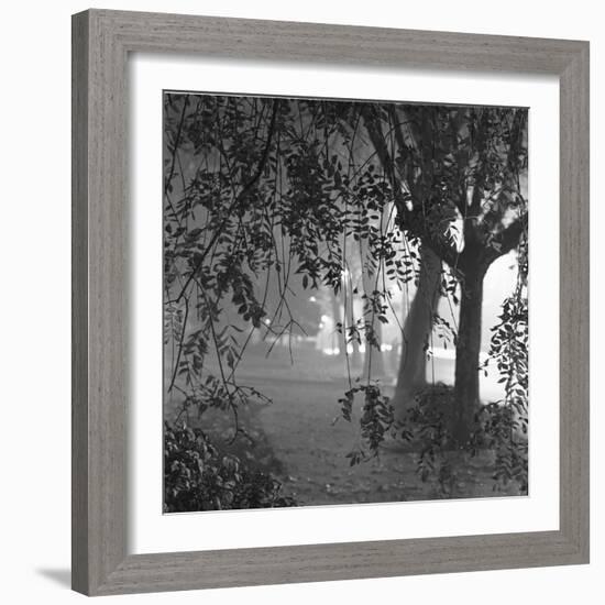 Nightshoot of Park with Trees, London, c.1940-John Gay-Framed Giclee Print