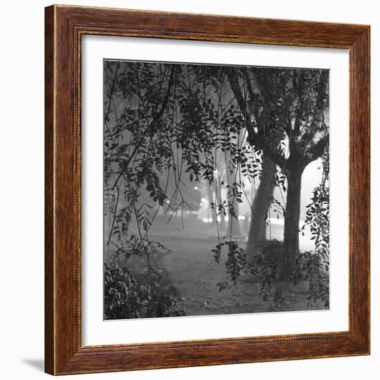 Nightshoot of Park with Trees, London, c.1940-John Gay-Framed Giclee Print