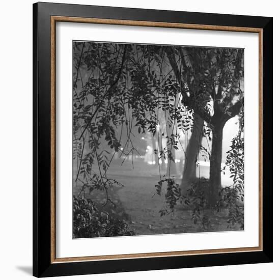 Nightshoot of Park with Trees, London, c.1940-John Gay-Framed Giclee Print