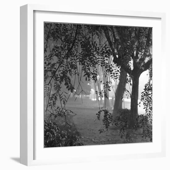 Nightshoot of Park with Trees, London, c.1940-John Gay-Framed Giclee Print