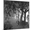 Nightshoot of Park with Trees, London, c.1940-John Gay-Mounted Giclee Print