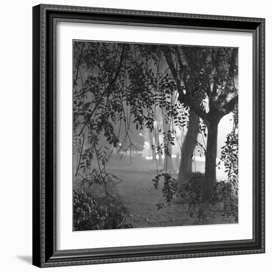 Nightshoot of Park with Trees, London, c.1940-John Gay-Framed Giclee Print