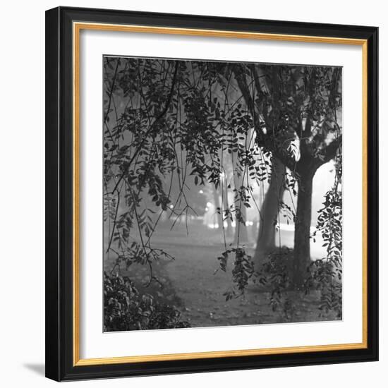 Nightshoot of Park with Trees, London, c.1940-John Gay-Framed Giclee Print