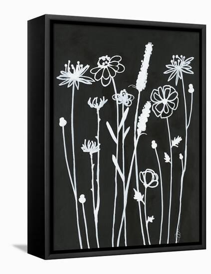 Nighttime Garden-Filippo Ioco-Framed Stretched Canvas