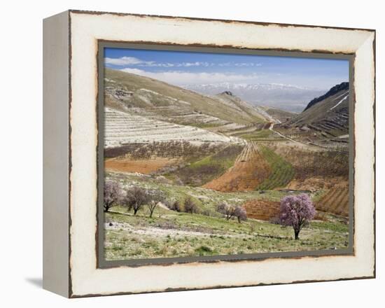 Niha, Bekaa Valley, Lebanon-Ivan Vdovin-Framed Premier Image Canvas