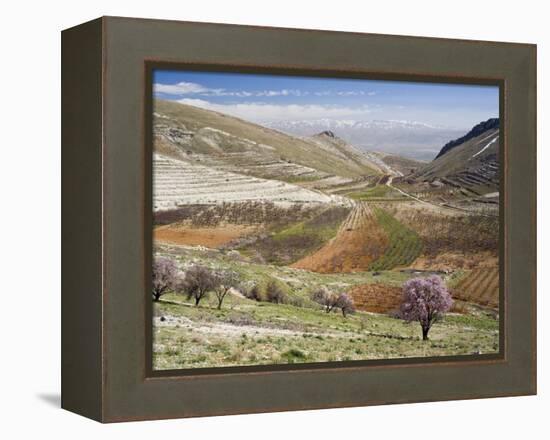 Niha, Bekaa Valley, Lebanon-Ivan Vdovin-Framed Premier Image Canvas