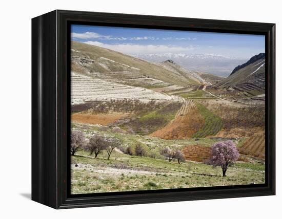 Niha, Bekaa Valley, Lebanon-Ivan Vdovin-Framed Premier Image Canvas