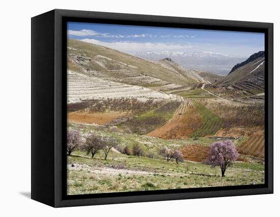 Niha, Bekaa Valley, Lebanon-Ivan Vdovin-Framed Premier Image Canvas