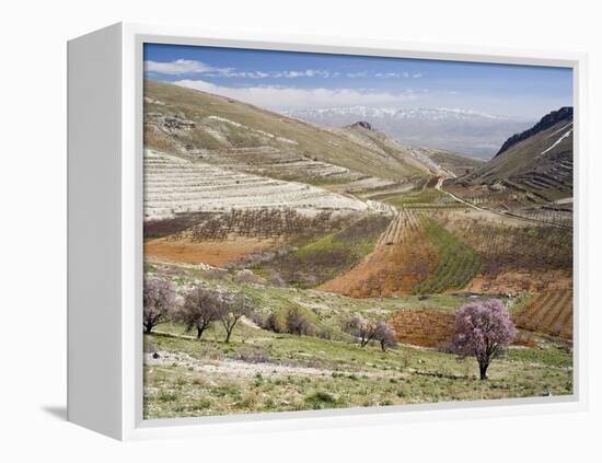 Niha, Bekaa Valley, Lebanon-Ivan Vdovin-Framed Premier Image Canvas