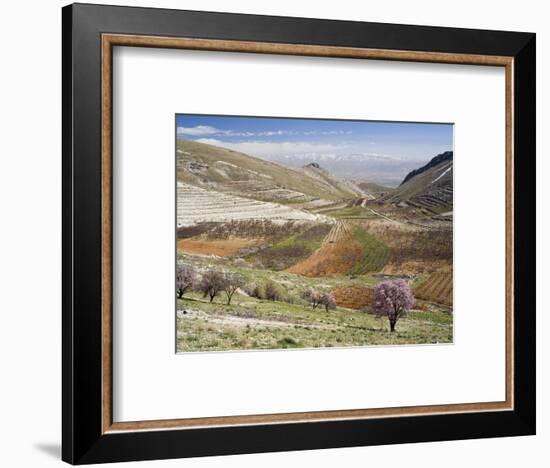 Niha, Bekaa Valley, Lebanon-Ivan Vdovin-Framed Photographic Print