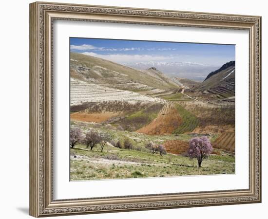 Niha, Bekaa Valley, Lebanon-Ivan Vdovin-Framed Photographic Print