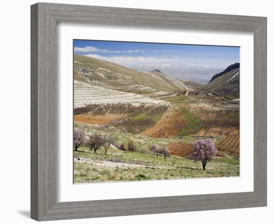 Niha, Bekaa Valley, Lebanon-Ivan Vdovin-Framed Photographic Print