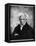 Nihilism: Arthur Schopenhauer, German Philosopher, 19th Century-null-Framed Premier Image Canvas