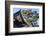 Nijo Castle, Kyoto, Japan-Keren Su-Framed Photographic Print