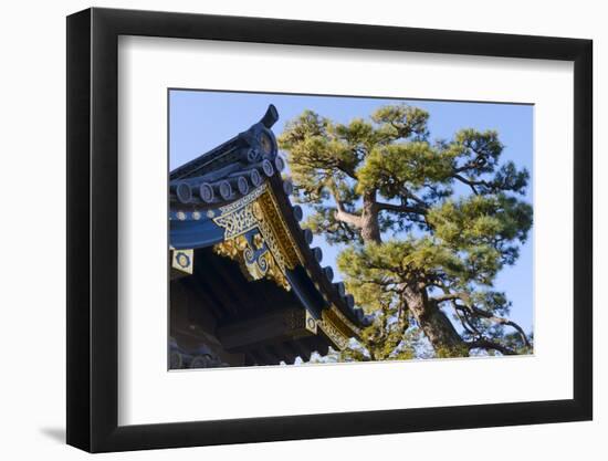 Nijo Castle, Kyoto, Japan-Keren Su-Framed Photographic Print