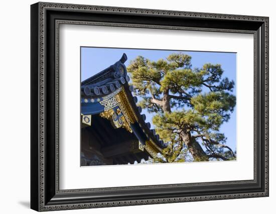 Nijo Castle, Kyoto, Japan-Keren Su-Framed Photographic Print