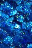 Blue Sequins-Nik_Merkulov-Photographic Print