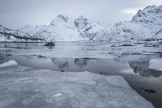 Icy Fjord at the Lofoten in Norway with Reflection and Ice Floes-Niki Haselwanter-Photographic Print