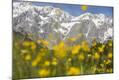 Photographic Print